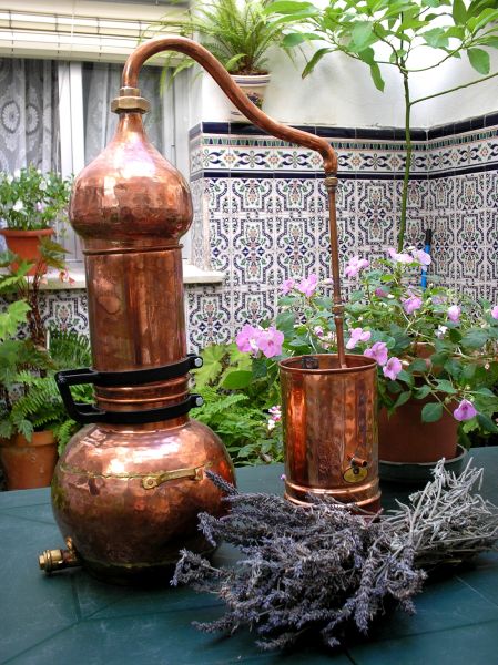 Ätherische Öle Destillieren mit der Kolonnenbrennerei von Destillatio (CopperGarden)